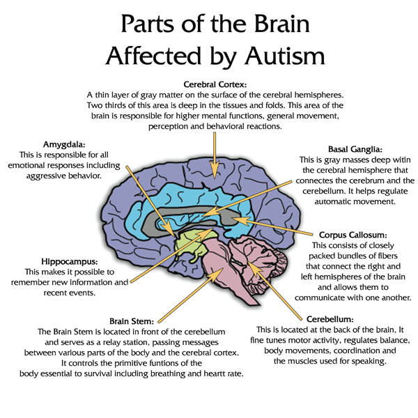 AUTISM